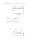 CNT Thin Film Transistor With High K Polymeric Dielectric diagram and image