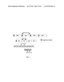 PILOT AIDED DATA TRANSMISSION AND RECEPTION WITH INTERFERENCE MITIGATION     IN WIRELESS SYSTEMS diagram and image