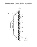 SEED-DOUBLE ELIMINATOR FOR A PLANTING UNIT diagram and image