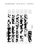 DELTA-5 DESATURASE AND ITS USE IN MAKING POLYUNSATURATED FATTY ACIDS diagram and image