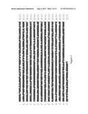 DELTA-5 DESATURASE AND ITS USE IN MAKING POLYUNSATURATED FATTY ACIDS diagram and image