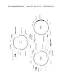 DELTA-5 DESATURASE AND ITS USE IN MAKING POLYUNSATURATED FATTY ACIDS diagram and image