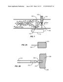 METHODS AND DEVICES FOR SMOKING URGE RELIEF diagram and image