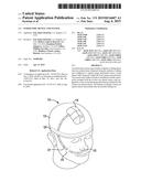 ENDOSCOPIC DEVICE AND SYSTEM diagram and image