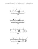 Radiofrequency Perforation Apparatus diagram and image