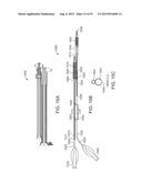 System and Methods for Treating a Bifurcation diagram and image