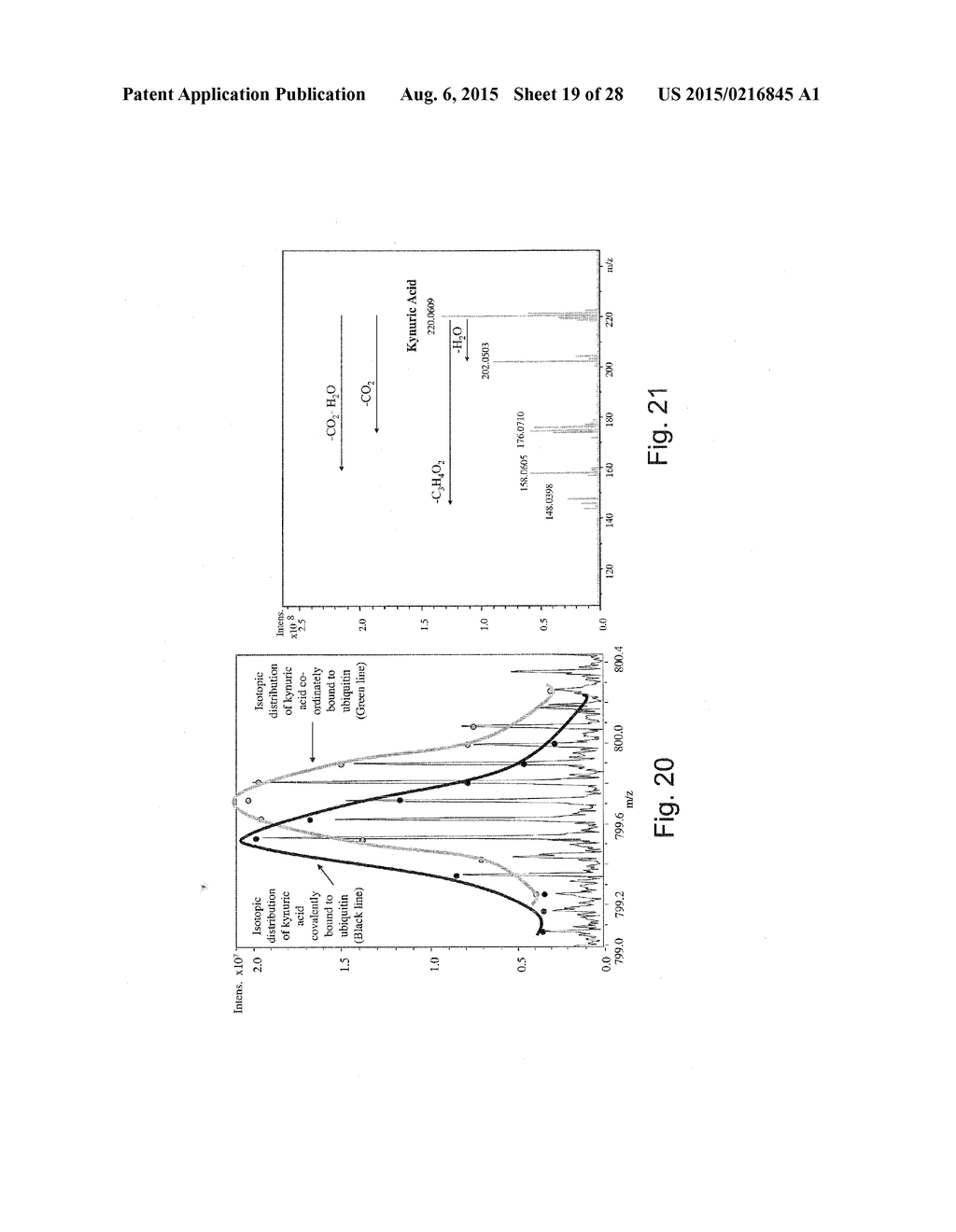 IPA AS A THERAPEUTIC AGENT, AS A PROTECTIVE AGENT, AND AS A BIOMARKER OF     DISEASE RISK - diagram, schematic, and image 20