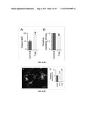 EXOSOME-BASED THERAPEUTICS AGAINST NEURODEGENERATIVE DISORDERS diagram and image