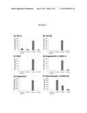 METHODS FOR INDUCING ANGIOGENESIS diagram and image