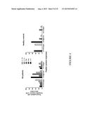 IMMUNOMODULATORY AGENT AND USES THEREFOR diagram and image