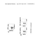 IMMUNOMODULATORY AGENT AND USES THEREFOR diagram and image