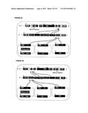 REVERSE GENETICS OF NEGATIVE-STRAND RNA VIRUSES IN YEAST diagram and image