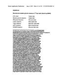 REVERSE GENETICS OF NEGATIVE-STRAND RNA VIRUSES IN YEAST diagram and image