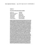 REVERSE GENETICS OF NEGATIVE-STRAND RNA VIRUSES IN YEAST diagram and image