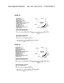 REVERSE GENETICS OF NEGATIVE-STRAND RNA VIRUSES IN YEAST diagram and image