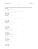 REVERSE GENETICS OF NEGATIVE-STRAND RNA VIRUSES IN YEAST diagram and image