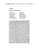 REVERSE GENETICS OF NEGATIVE-STRAND RNA VIRUSES IN YEAST diagram and image