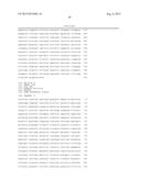 REVERSE GENETICS OF NEGATIVE-STRAND RNA VIRUSES IN YEAST diagram and image