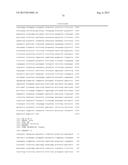 REVERSE GENETICS OF NEGATIVE-STRAND RNA VIRUSES IN YEAST diagram and image