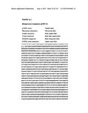 REVERSE GENETICS OF NEGATIVE-STRAND RNA VIRUSES IN YEAST diagram and image