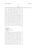 REVERSE GENETICS OF NEGATIVE-STRAND RNA VIRUSES IN YEAST diagram and image