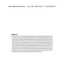 REVERSE GENETICS OF NEGATIVE-STRAND RNA VIRUSES IN YEAST diagram and image