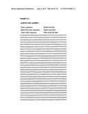 REVERSE GENETICS OF NEGATIVE-STRAND RNA VIRUSES IN YEAST diagram and image