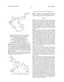 DRUG DELIVERY SCAFFOLD OR STENT WITH A NOVOLIMUS AND LACTIDE BASED COATING     SUCH THAT NOVOLIMUS HAS A MINIMUM AMOUNT OF BONDING TO THE COATING diagram and image