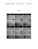 MULTILAYERED POLYOLEFIN-BASED FILMS diagram and image