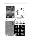 COVALENTLY PATTERNED GRAPHENE SURFACES BY A FORCE ACCELERATED     CYCLOADDITION REACTION diagram and image