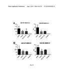 ANTI-ANGIOGENIC COMPOUNDS diagram and image