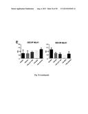 ANTI-ANGIOGENIC COMPOUNDS diagram and image