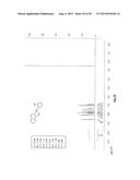 ANTI-ANGIOGENIC COMPOUNDS diagram and image