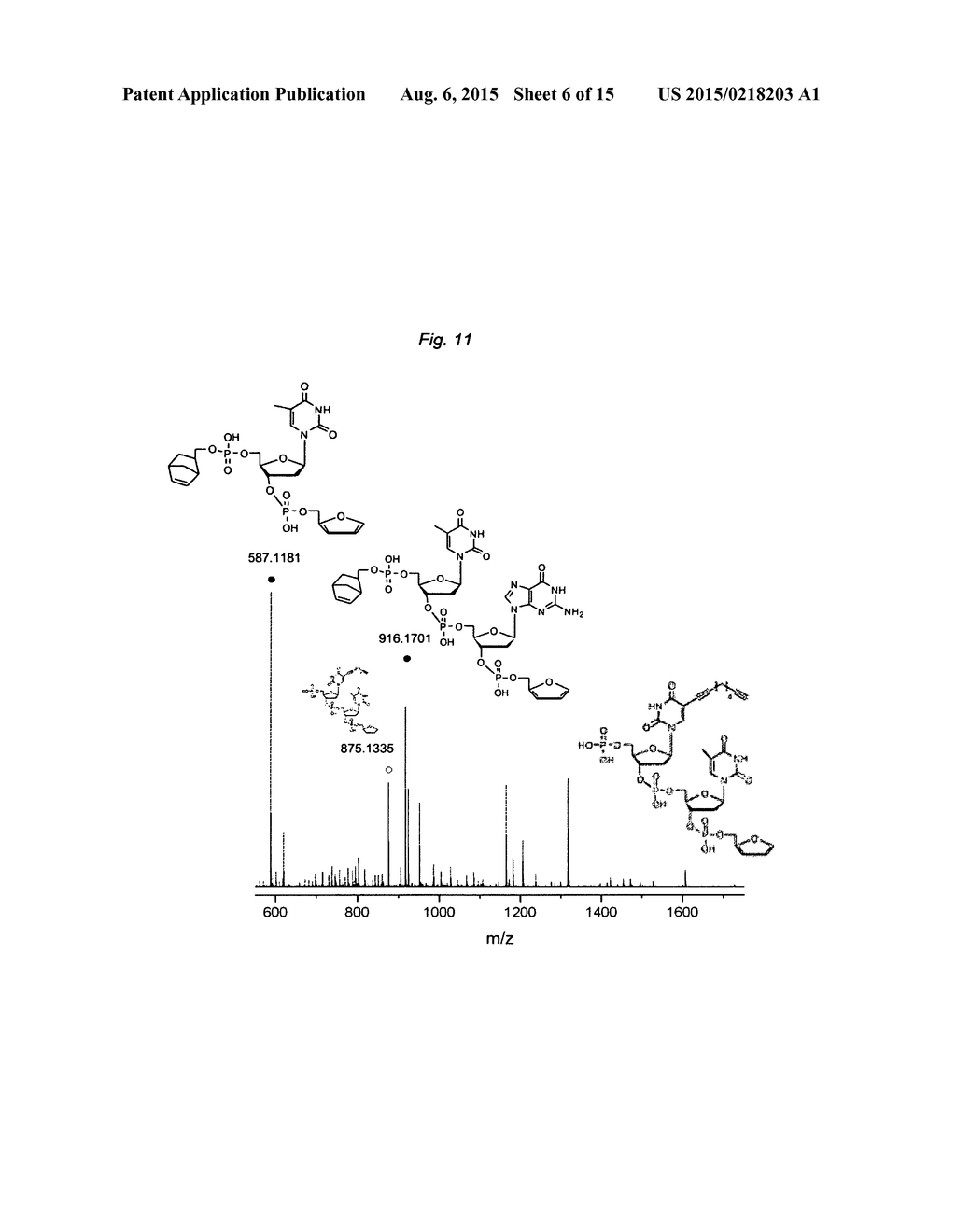 MULTIPLE ORTHOGONAL LABELLING OF OLIGONUCLEOTIDES - diagram, schematic, and image 07