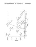 MULTIPLE ORTHOGONAL LABELLING OF OLIGONUCLEOTIDES diagram and image