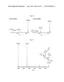 MULTIPLE ORTHOGONAL LABELLING OF OLIGONUCLEOTIDES diagram and image