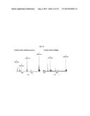 MULTIPLE ORTHOGONAL LABELLING OF OLIGONUCLEOTIDES diagram and image