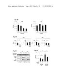 Methods and Peptides for Preventing and Treating A BCR-ABL and a C-ABL     Associated Disease diagram and image