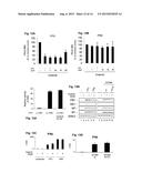 Methods and Peptides for Preventing and Treating A BCR-ABL and a C-ABL     Associated Disease diagram and image