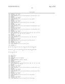 Methods and Peptides for Preventing and Treating A BCR-ABL and a C-ABL     Associated Disease diagram and image