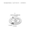 P15 PROTEIN VARIANT AND USE THEREOF FOR PREVENTING OR TREATING CANCER diagram and image