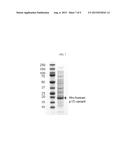 P15 PROTEIN VARIANT AND USE THEREOF FOR PREVENTING OR TREATING CANCER diagram and image