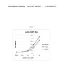 P15 PROTEIN VARIANT AND USE THEREOF FOR PREVENTING OR TREATING CANCER diagram and image