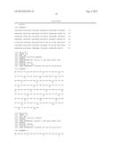 P15 PROTEIN VARIANT AND USE THEREOF FOR PREVENTING OR TREATING CANCER diagram and image