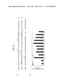 SHORT-FORM HUMAN MD-2 AS A NEGATIVE REGULATOR OF TOLL-LIKE RECEPTOR 4     SIGNALING diagram and image