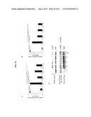 SHORT-FORM HUMAN MD-2 AS A NEGATIVE REGULATOR OF TOLL-LIKE RECEPTOR 4     SIGNALING diagram and image