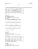 NOVEL ANTI-HUMAN NGF ANTIBODY diagram and image