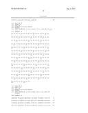 NOVEL ANTI-HUMAN NGF ANTIBODY diagram and image