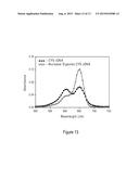 MODIFIED CARBOCYANINE DYES AND THEIR CONJUGATES diagram and image