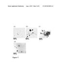 NANOPARTICLE SYNTHESIS USING PLANT EXTRACTS AND VIRUS diagram and image